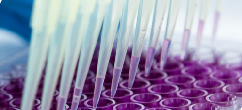 Phần mềm quản lý thông tin phòng thí nghiệm (LIMS) Bioanalysis LabWare - 1