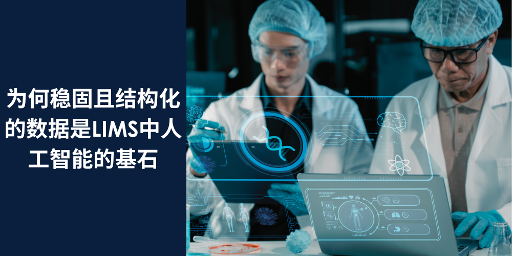 [ZH-CN] AI Structured Data LIMS