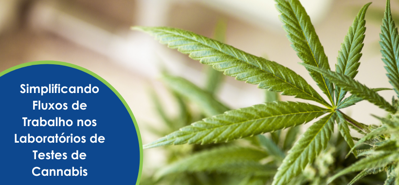 Simplificando Fluxos de Trabalho nos Laboratórios de Testes de Cannabis