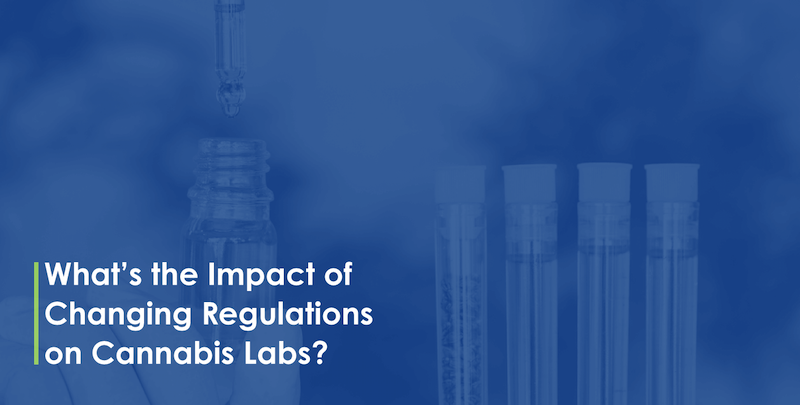 Whats the Impact of Changing Regulations on Cannabis Labs