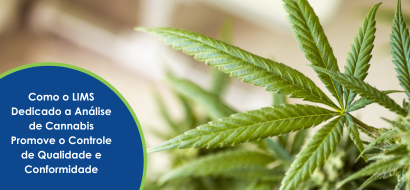 Como o LIMS Dedicadåo a Análise de Cannabis Promove o Controle de Qualidade e Conformidade