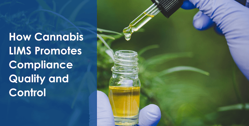 How Cannabis LIMS Promotes Compliance Quality and Control