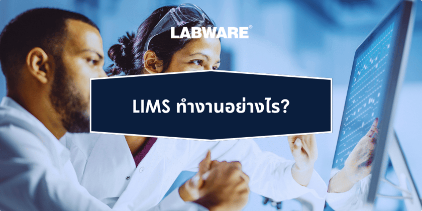 TH - How Does a LIMS Work