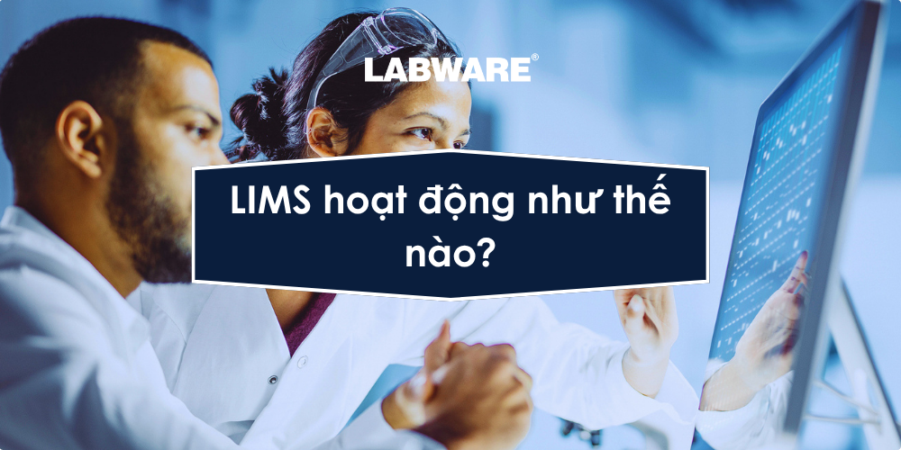 Các chuyên gia phòng thí nghiệm đang xem xét dữ liệu trên màn hình có tiêu đề “Hệ thống Quản lý Thông tin Phòng thí nghiệm (LIMS) hoạt động như thế nào?”