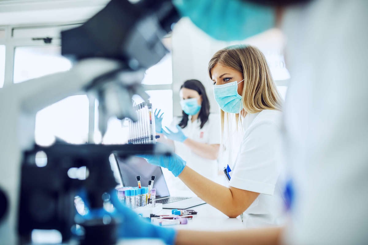 Understanding the Regulatory Impact on Cannabis Labs