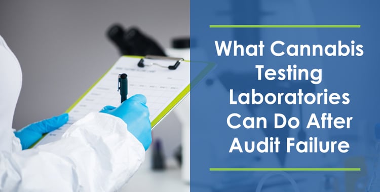 What Cannabis Testing Laboratories Can Do After Audit Failure
