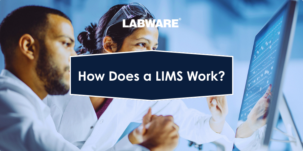 How Does a LIMS Work?